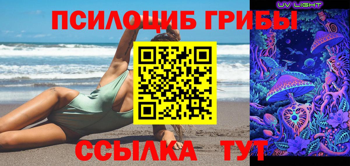 Псилоцибиновые грибы мицелий Алексеевка